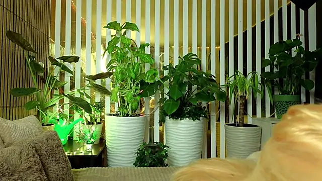 FlowweerGirl online show from 12-15-25, 09:42