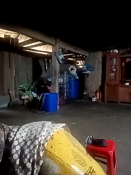 ava-dellght online show from 02-04-26, 02:28