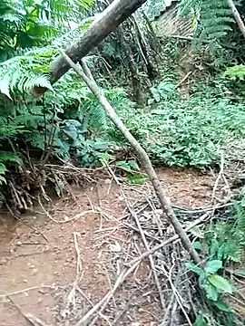 ava-dellght online show from 01-17-26, 02:37