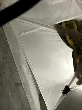 Wendy-babyy online show from 12-16-25, 04:44