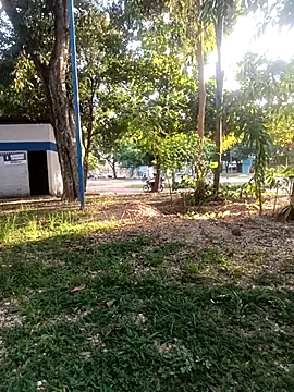 Snapshot of Mchljjk chatting on 01-05-26, 08:23 Mchljjk online show from 01-05-26, 08:23