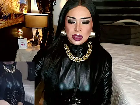 Snapshot of sheenavi chatting on 02-17-26, 04:59 sheenavi online show from 02-17-26, 04:59