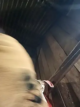 sary-hot2x online show from 01-09-26, 12:01