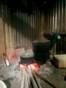 sary-hot2x online show from 01-08-26, 11:55