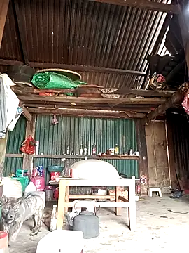 sary-hot2x online show from 03-26-26, 05:17