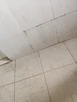 BoyMuslimTelugu online show from 12-17-25, 05:34