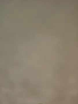 Bigkannan online show from 01-12-26, 08:43