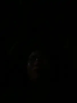 Snapshot of vero-obc chatting on 04-26-26, 12:52 vero-obc online show from 04-26-26, 12:52