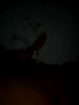 Pascarbo 00 online show from 12-19-25, 02:04