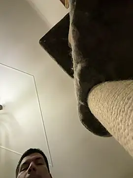 CharlyAlfa22 online show from 02-11-26, 11:26