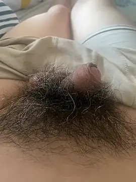 hairylittledic online show from 07-08-26, 11:38
