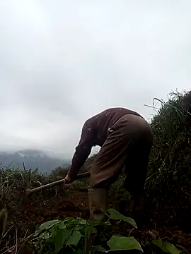 Snapshot of mon-monk chatting on 12-17-25, 01:10 mon-monk online show from 12-17-25, 01:10