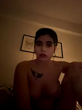 Wailsaa sdf online show from 12-17-25, 08:14