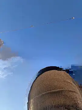 Big German cock974 online show from 12-21-25, 01:46