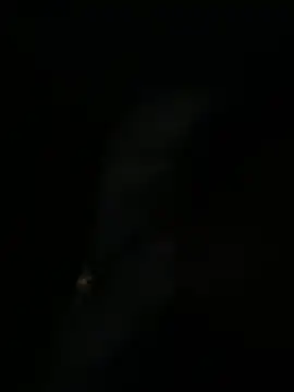 sofia-bae online show from 04-01-26, 01:30