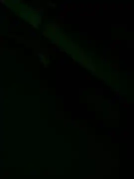 zoodangermind online show from 05-17-26, 12:10
