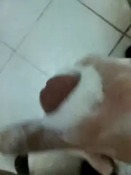 Snapshot of Amoooooun chatting on 12-17-25, 09:14 Amoooooun online show from 12-17-25, 09:14