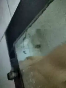 Snapshot of Amoooooun chatting on 01-15-26, 07:12 Amoooooun online show from 01-15-26, 07:12