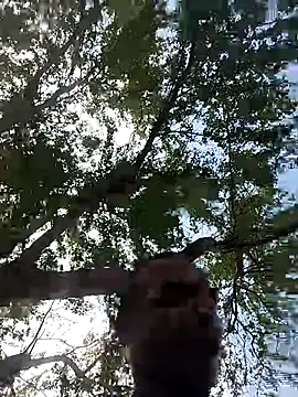 Andreskelly online show from 03-17-26, 03:15