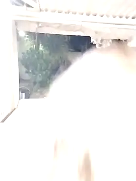 SexyAssQueenX online show from 01-14-26, 02:15