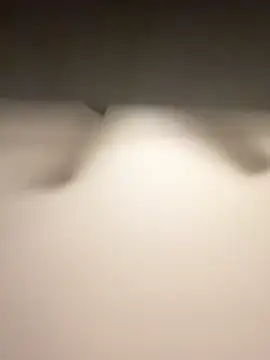 Lassie Cassie online show from 02-03-26, 05:05