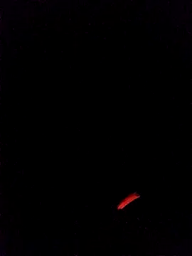 leobct555 online show from 03-22-26, 03:10