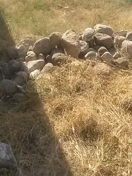 DanielGr27 online show from 12-20-25, 07:06