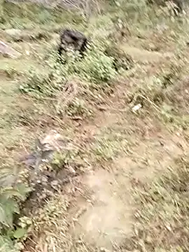 neko-nancy online show from 01-07-26, 07:57