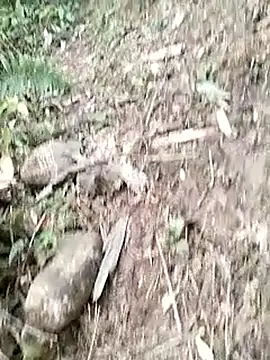 neko-nancy online show from 01-14-26, 03:10