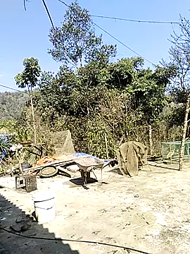 neko-nancy online show from 02-16-26, 07:07