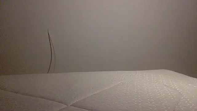 Palinchik online show from 02-01-26, 10:41