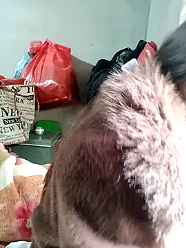 little-effy online show from 02-17-26, 03:04