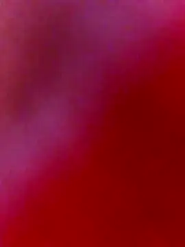 nosrat014 online show from 02-02-26, 09:41