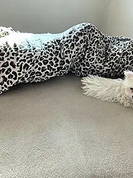 tenifer online show from 12-15-25, 09:26