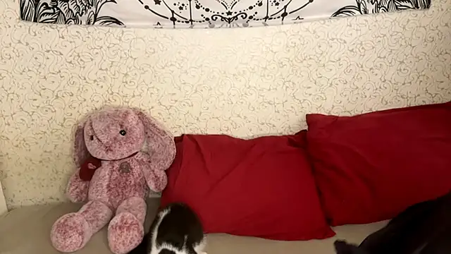 Shining Robi online show from 12-18-25, 12:09