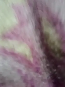 Lovely priya1001 online show from 12-14-25, 07:30