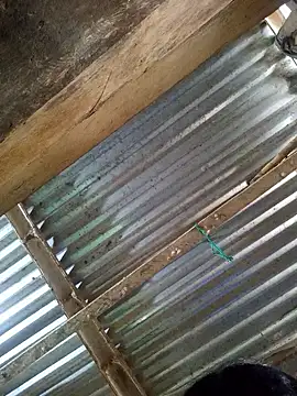 Rousse uwu online show from 01-08-26, 05:19