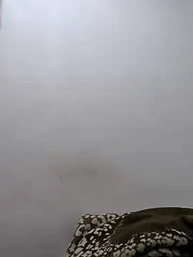 twinkarabboy online show from 02-17-26, 11:29