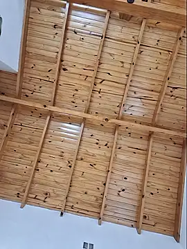 AbidingAuspices online show from 02-15-26, 01:21