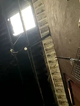 Nika-be online show from 01-17-26, 01:53