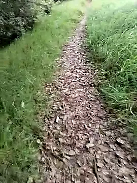 ZarayNero online show from 02-20-26, 09:50