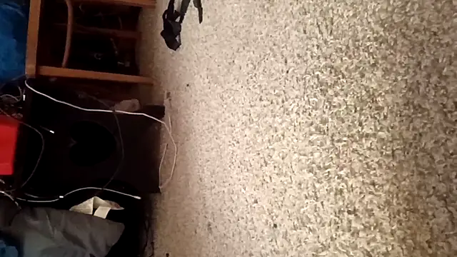 Justis88 online show from 12-16-25, 01:04