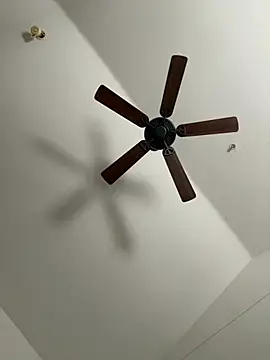 faces818 online show from 03-21-26, 05:17