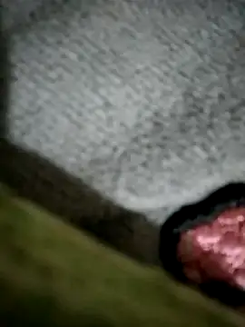 MIASA-269 online show from 02-08-26, 11:24