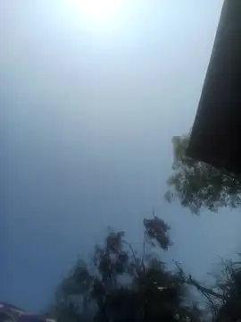 Snapshot of Pinki_rajak chatting on 02-10-26, 06:23 Pinki rajak online show from 02-10-26, 06:23