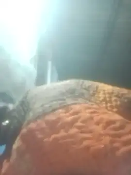 Pinki rajak online show from 01-11-26, 07:10