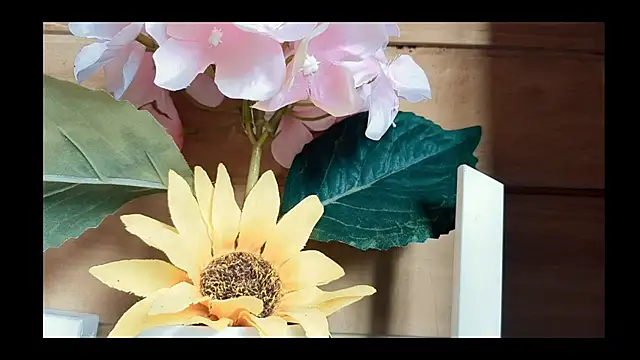 vickvalencia2 online show from 05-07-26, 01:03