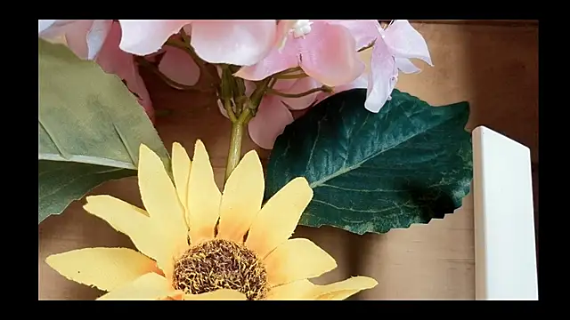 vickvalencia2 online show from 05-04-26, 01:47