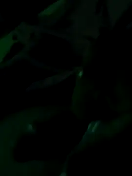 Casadocurioso50 online show from 05-07-26, 01:43
