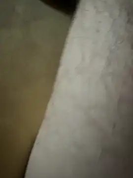 Lilalache online show from 12-14-25, 01:28